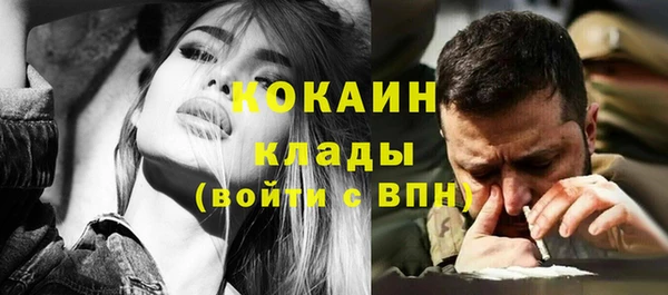 ПСИЛОЦИБИНОВЫЕ ГРИБЫ Аркадак